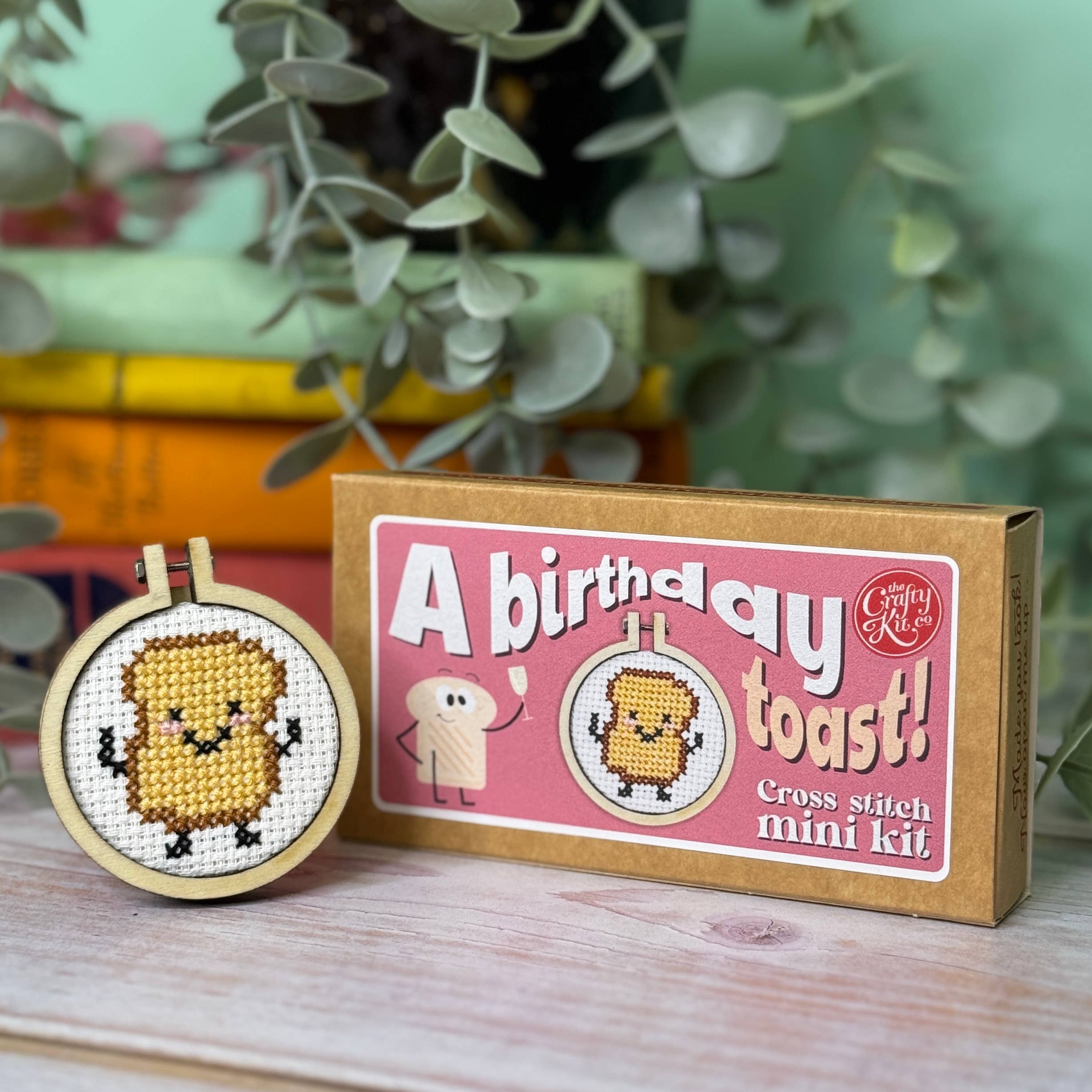 Matchbox Mini Cross Stitch Kit - A Birthday Toast