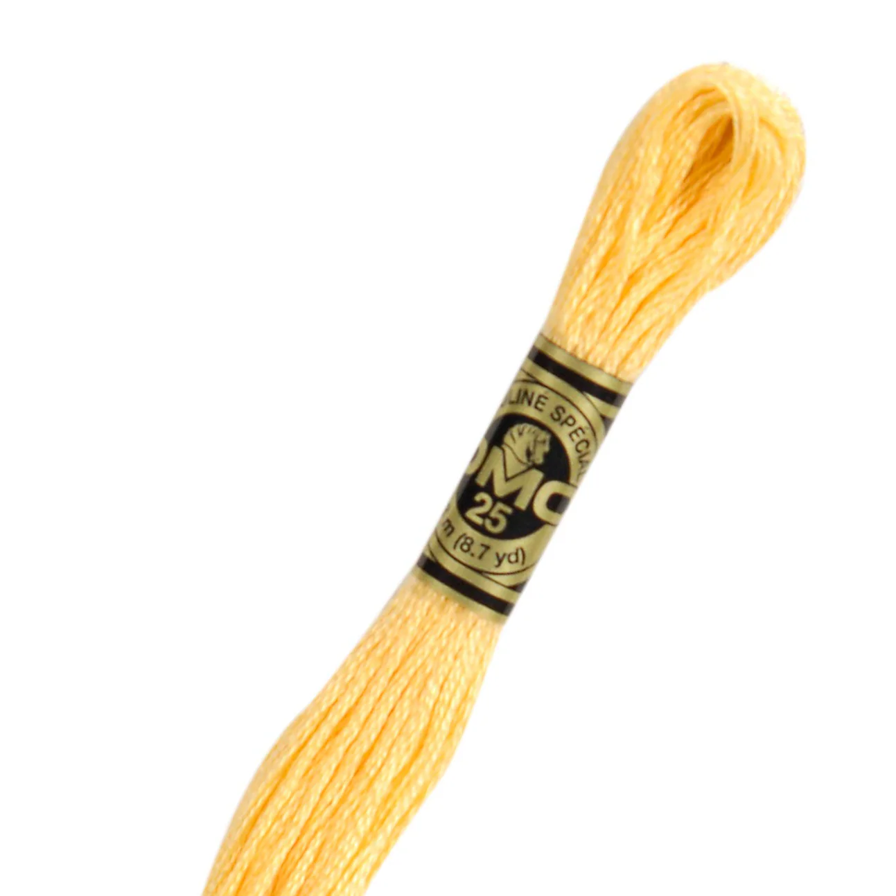 DMC 19 Cotton Embroidery Floss
