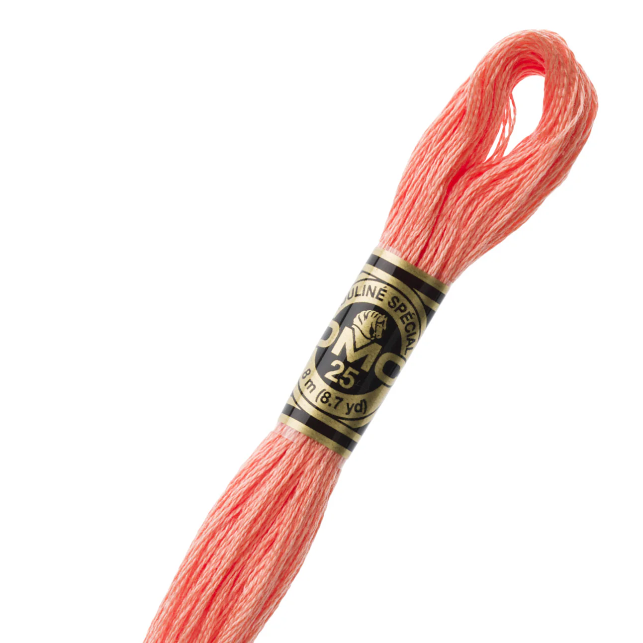 DMC 3341 Cotton Embroidery Floss