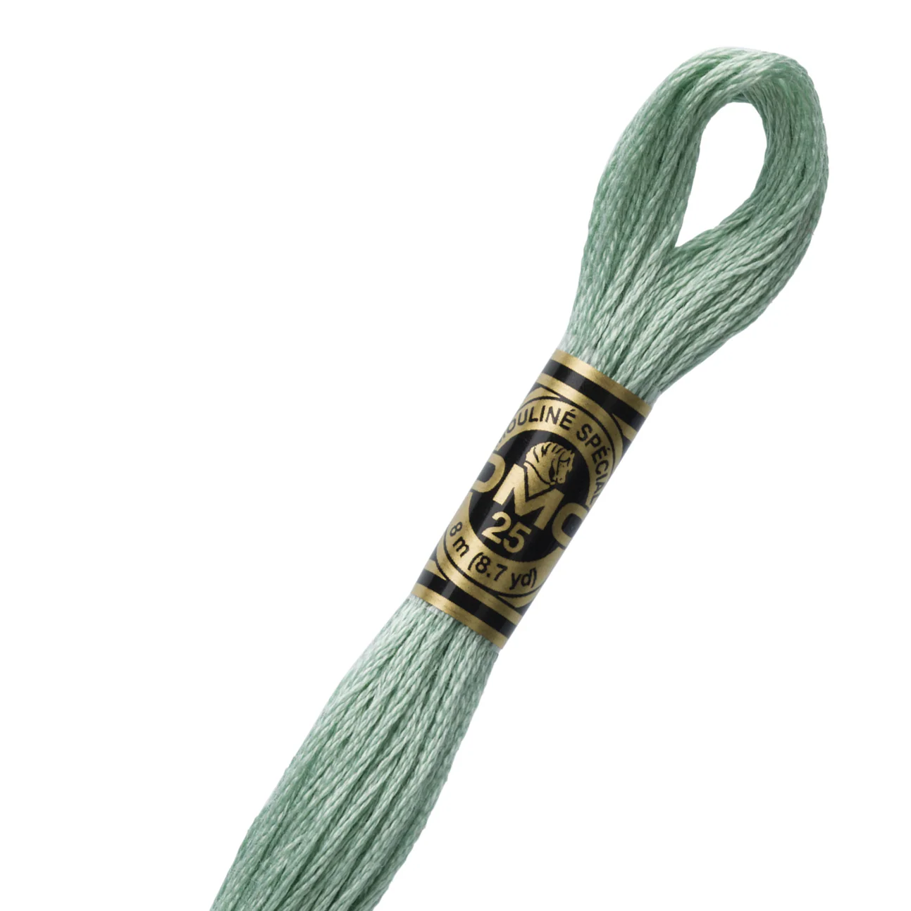 DMC 3817 Cotton Embroidery Floss