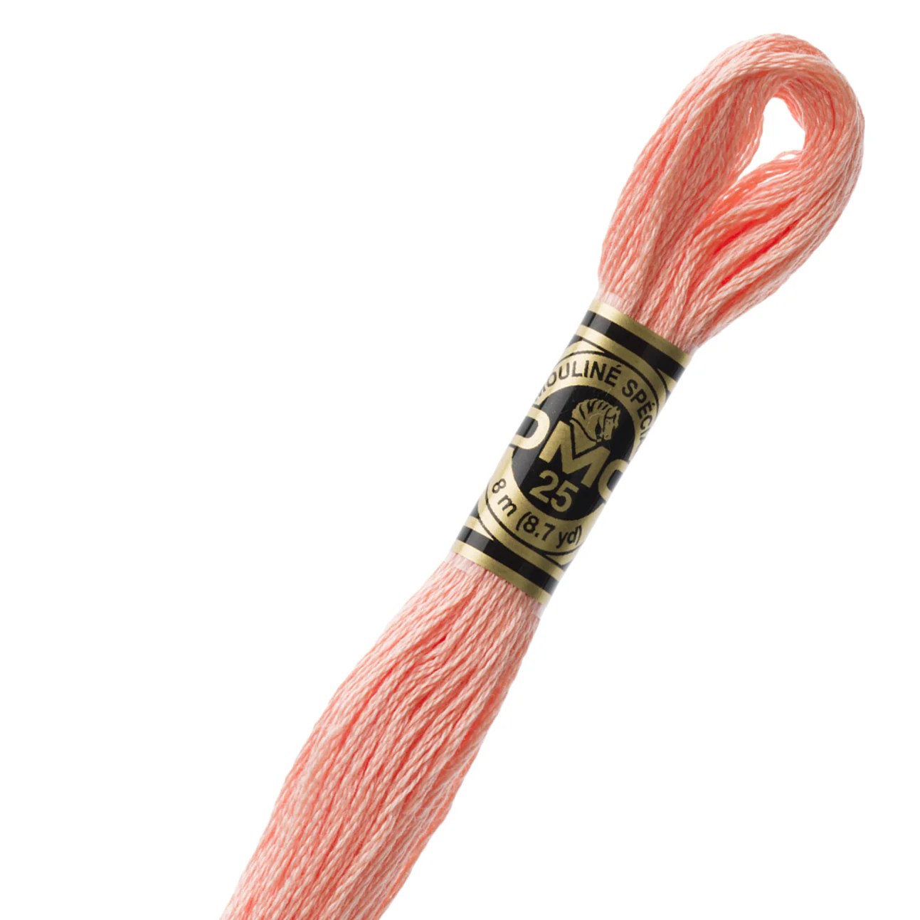 DMC 3824 Cotton Embroidery Floss