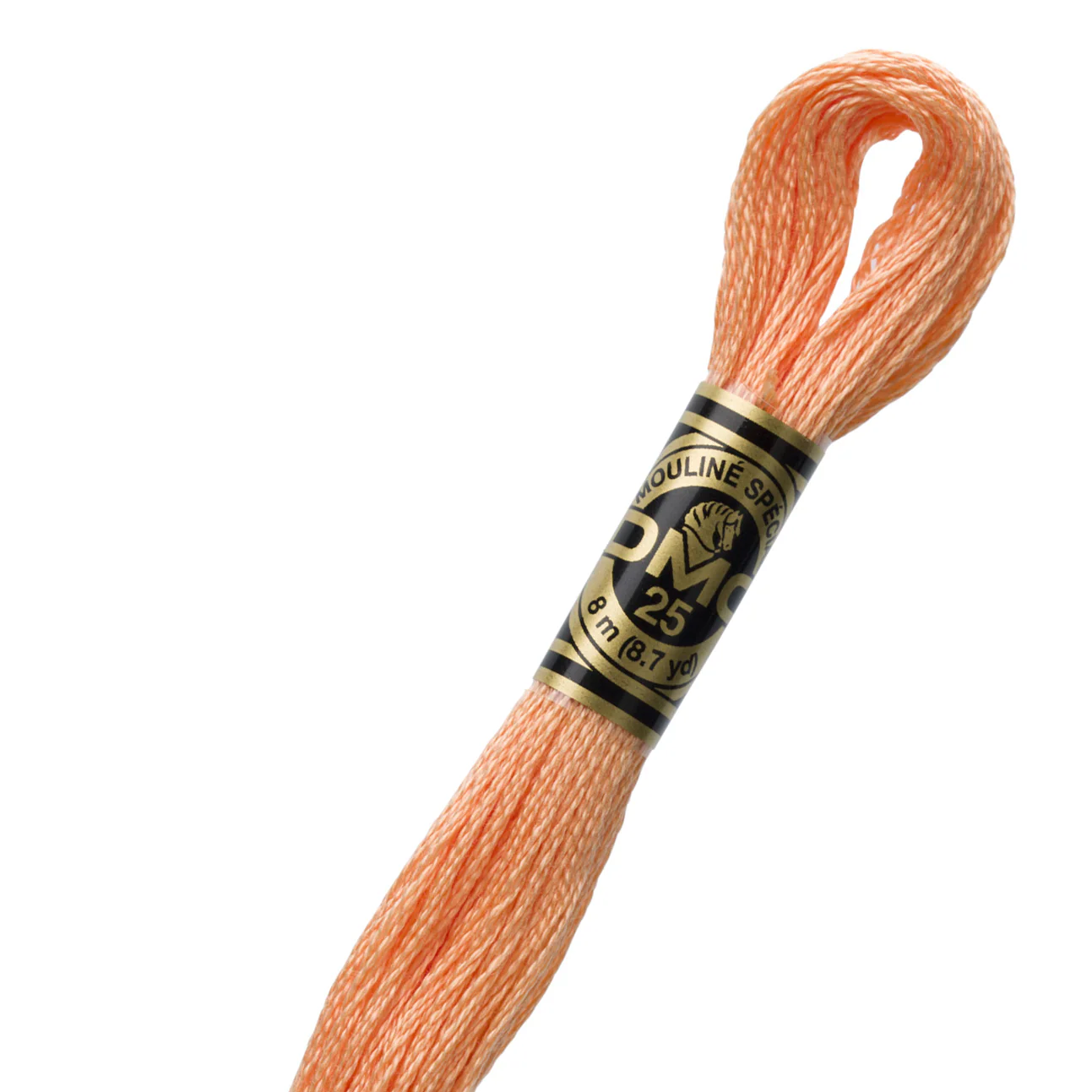 DMC 3825 Cotton Embroidery Floss