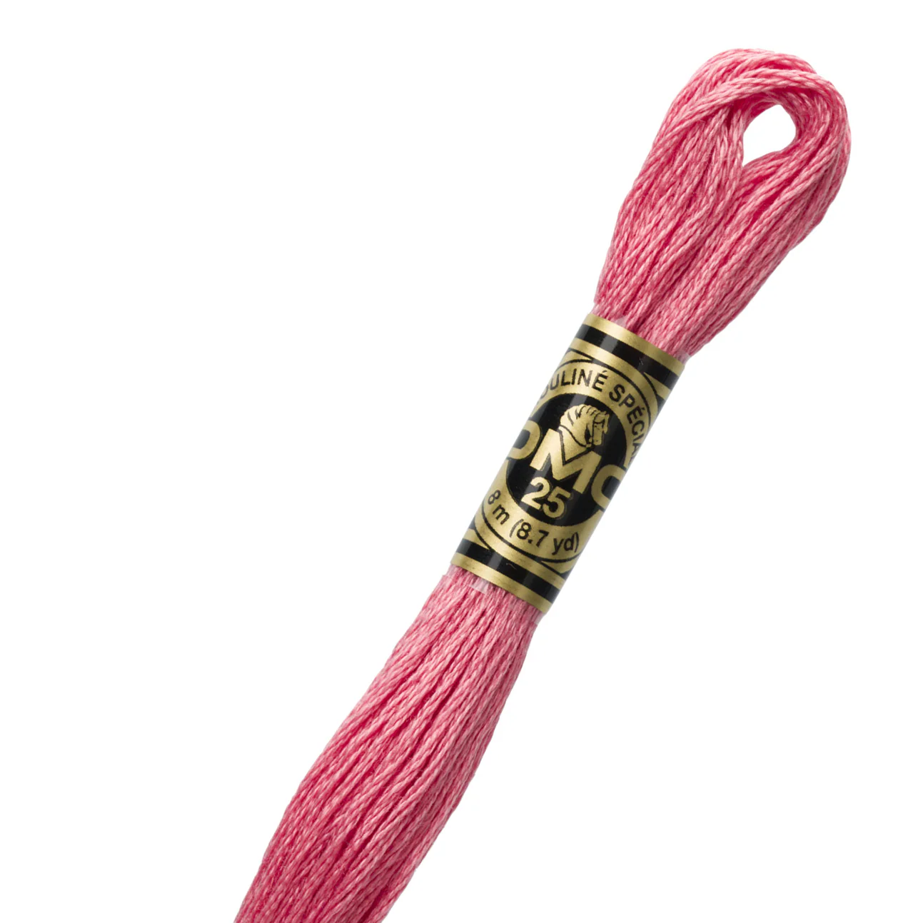 DMC 3833 Cotton Embroidery Floss