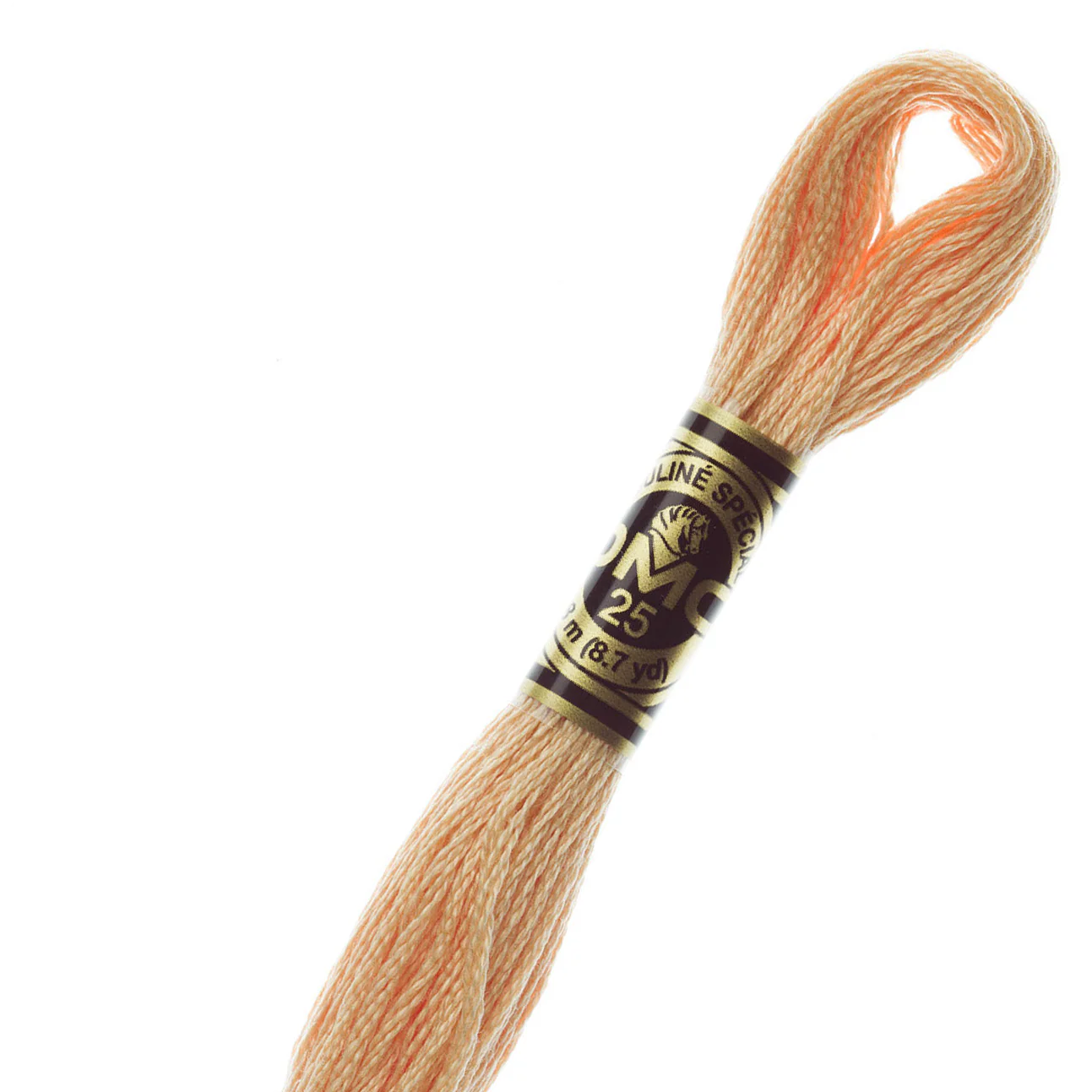 DMC 3856 Cotton Embroidery Floss