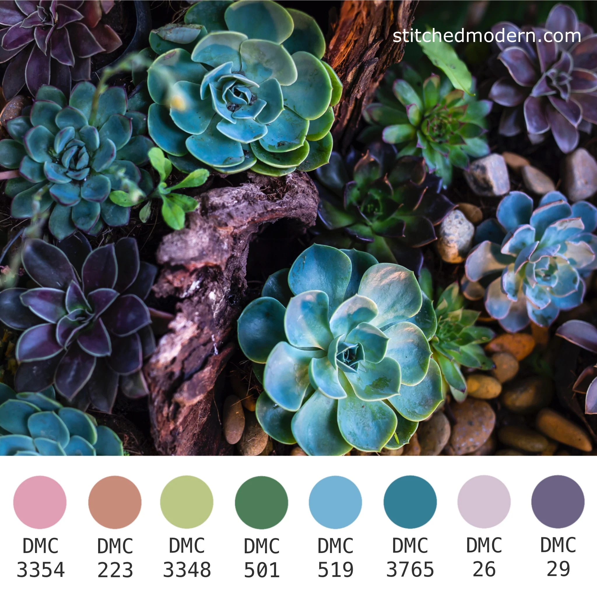 DMC Embroidery Floss Color Palette - Moody Succulent - Image 6