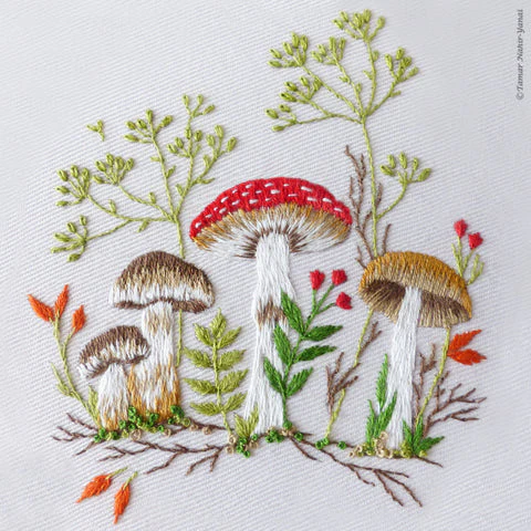 Forest Mushrooms Hand Embroidery Kit - Image 3