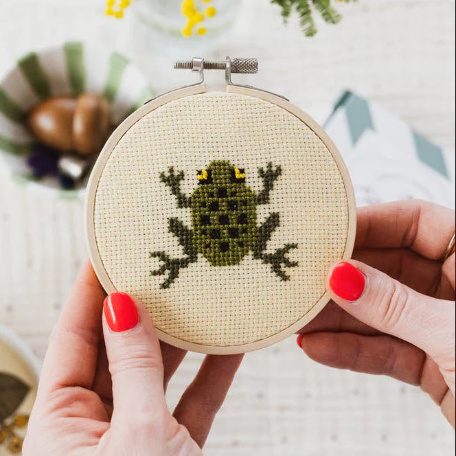 Frog Cross Stitch Kit