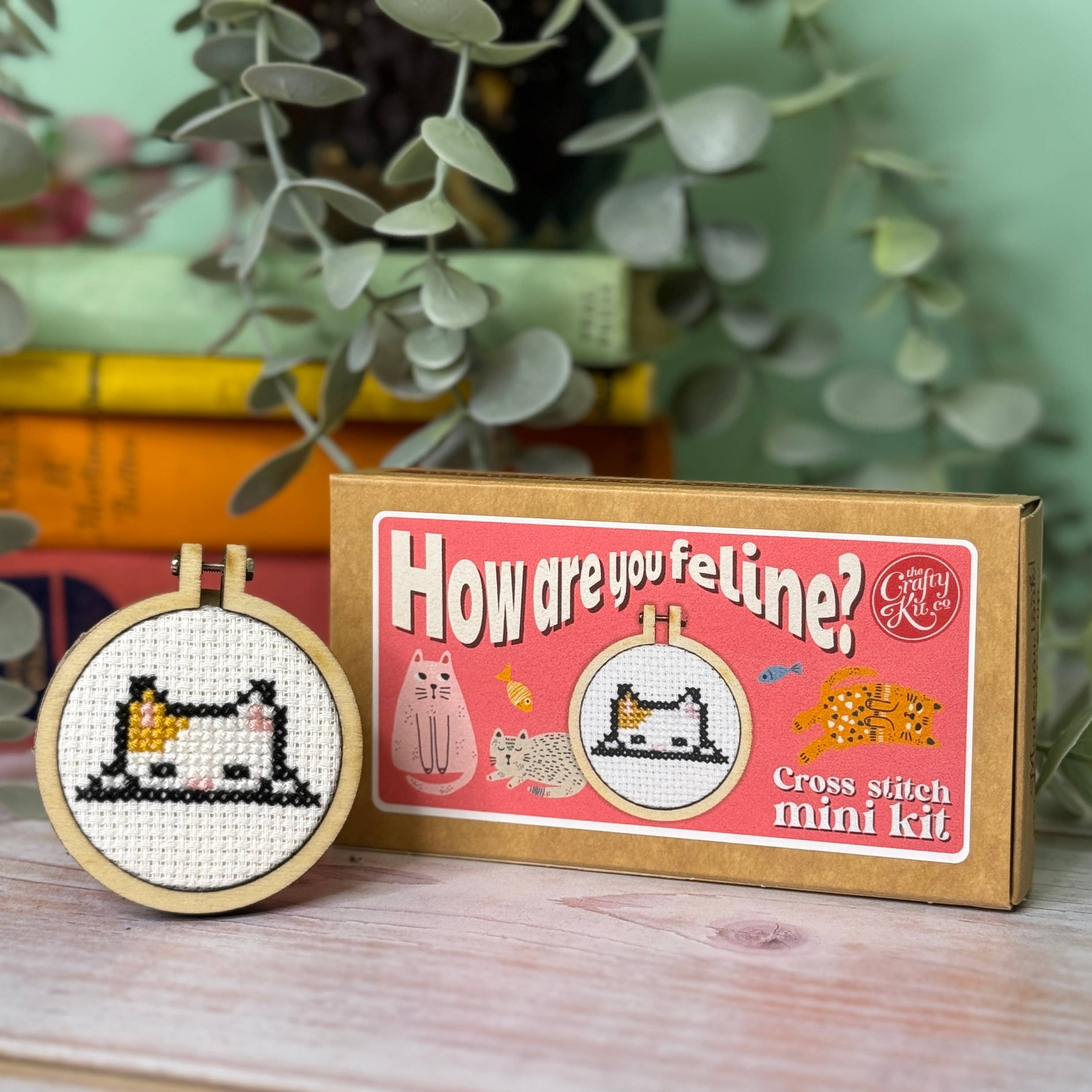 Mini Matchbox Cross Stitch Kit - How Are You Feline