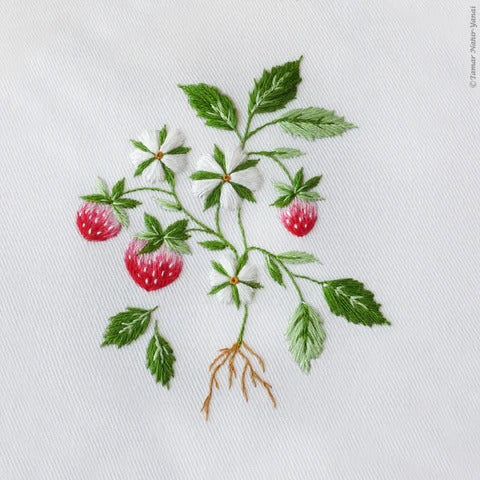 Strawberry Cake Hand Embroidery Kit - Image 2