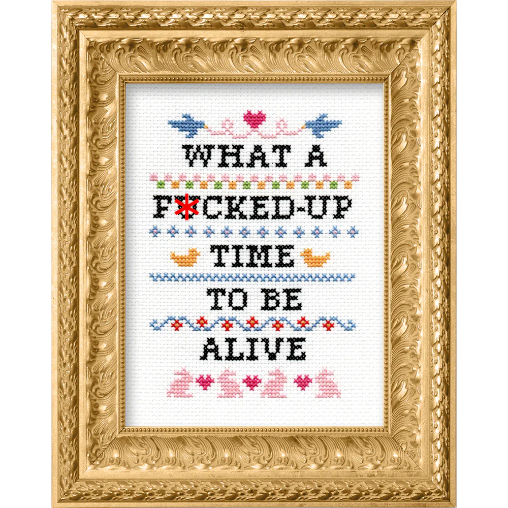 What a F'd Up Time to Be Alive Cross Stitch Kit