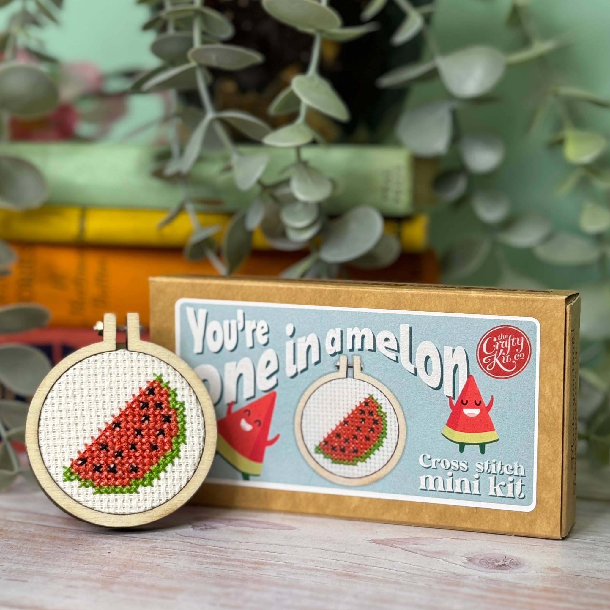 Mini Matchbox Cross Stitch Kit - You're One in a Melon